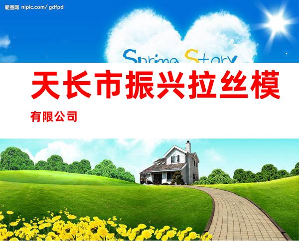 天长市振兴拉丝模有限公司